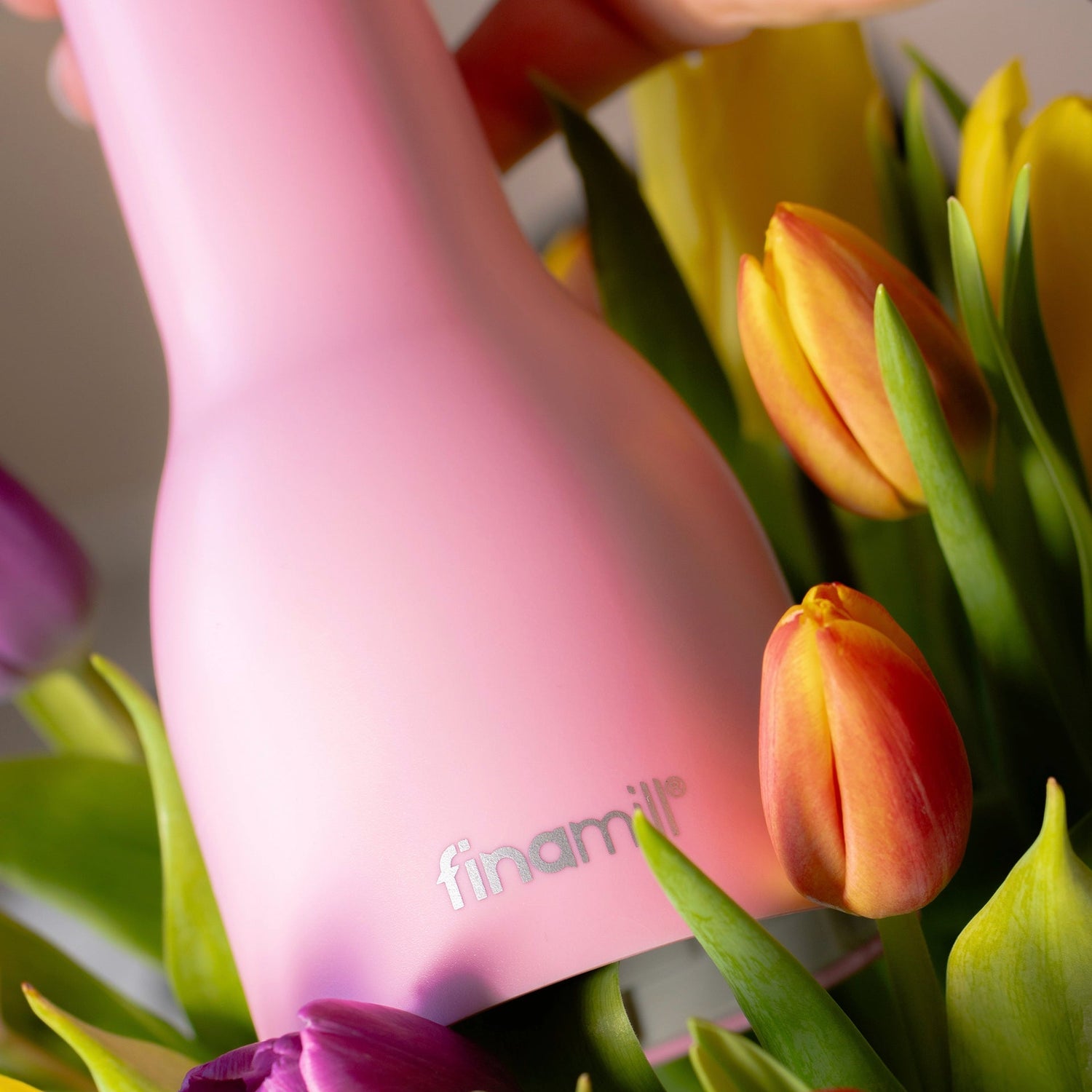 Spring advantageous Package: rechargeable pink Grinder FinaMill with a supply of pepper 