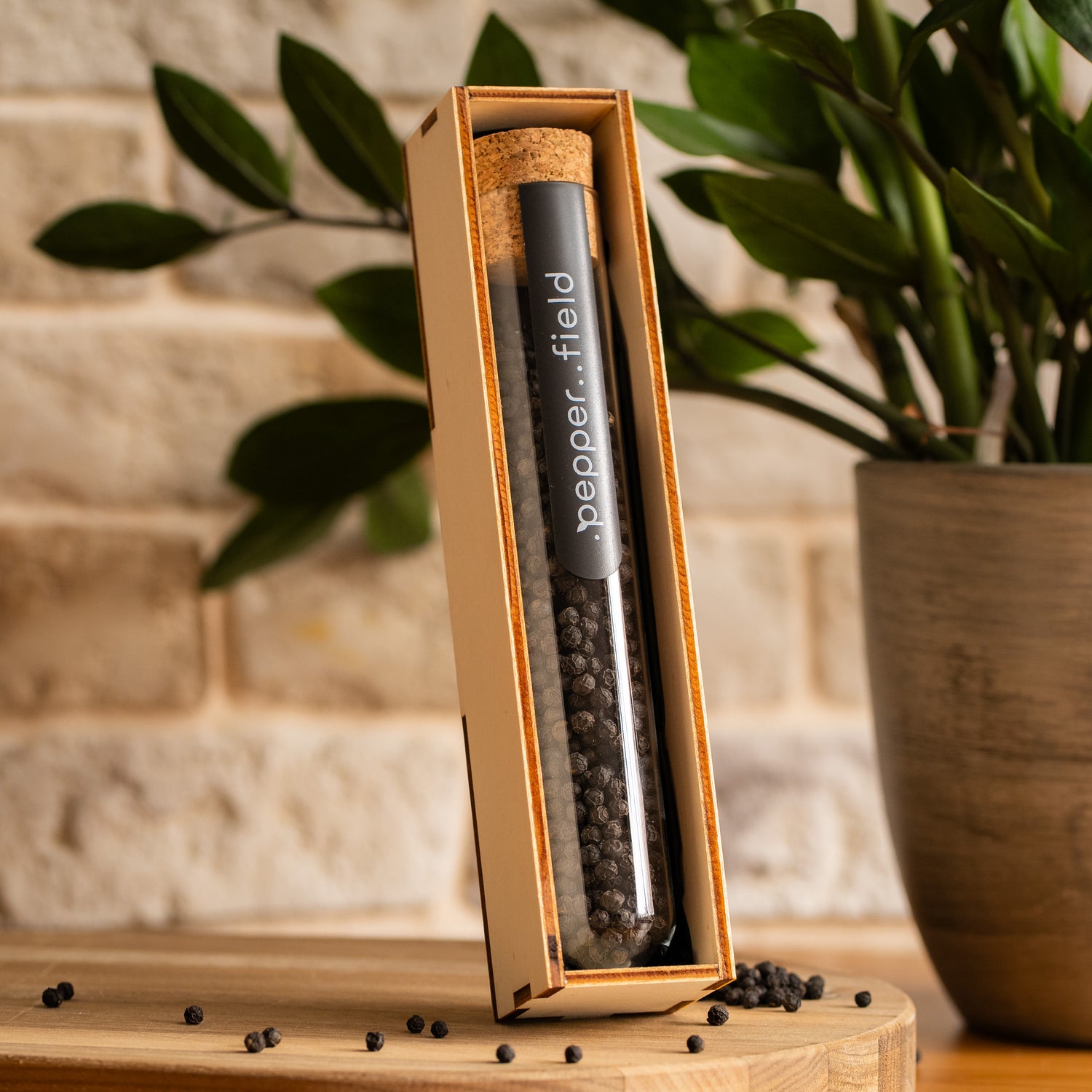 Large test tube with black Kampot pepper in a gift box 